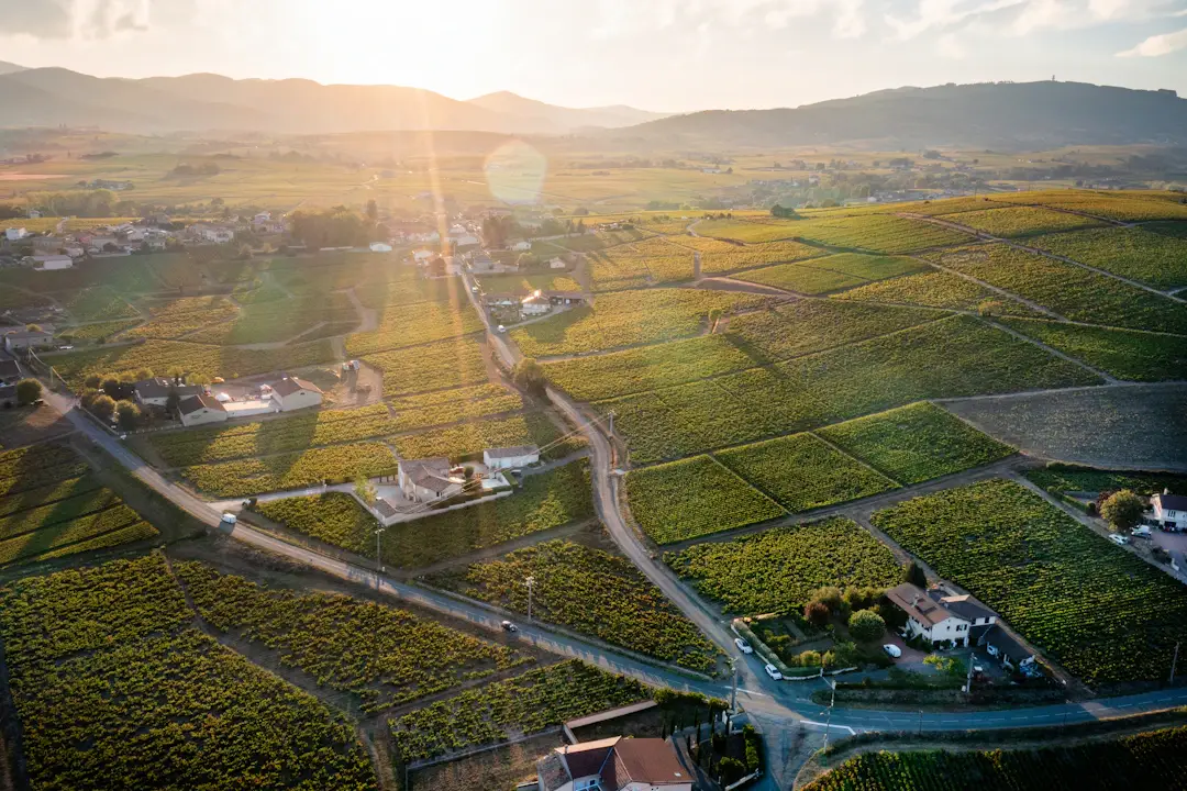 Photo de 'filipp_roman_photography' sur Unsplash